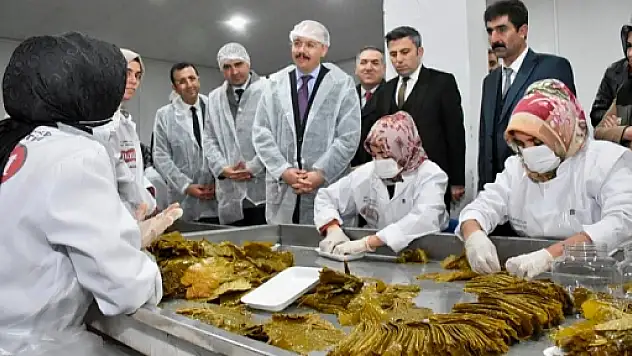 Vali Kızılkaya: 'Siirt'in Kalkınma Lokomotifi Tarım ve Hayvancılıktır'