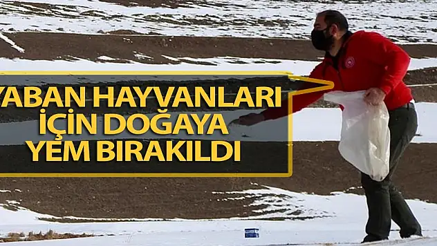 Yaban Dostlar, Unutulmadı!