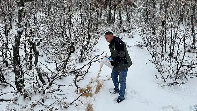 Yaban Hayvanlar İçin 'Besi Yemi'  Verilmeye Devam Ediyor