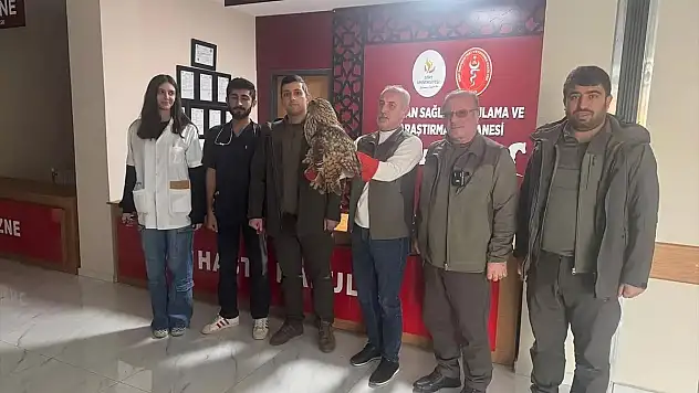 Yaralı Kulaklı Orman Baykuşu Koruma Altına Alındı