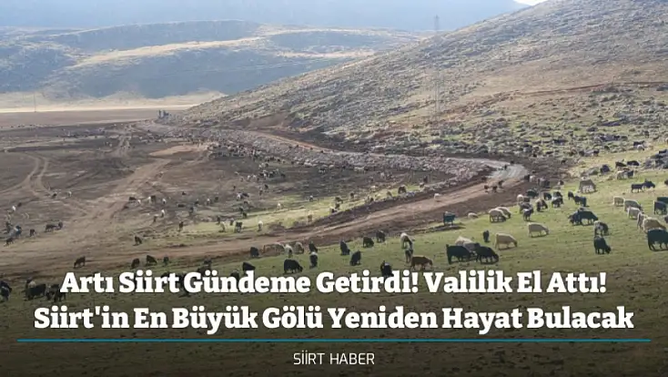 Artı Siirt Gündeme Getirdi! Valilik El Attı! Siirt'in En Büyük Gölü Yeniden Hayat Bulacak