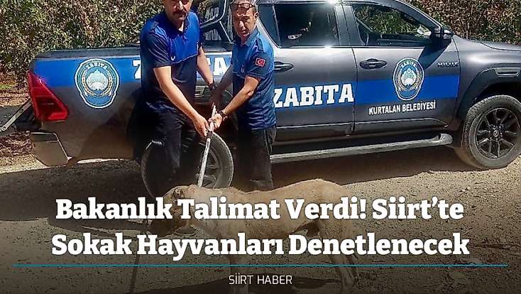 Bakanlık Talimat Verdi! Siirt’te Sokak Hayvanları Denetlenecek