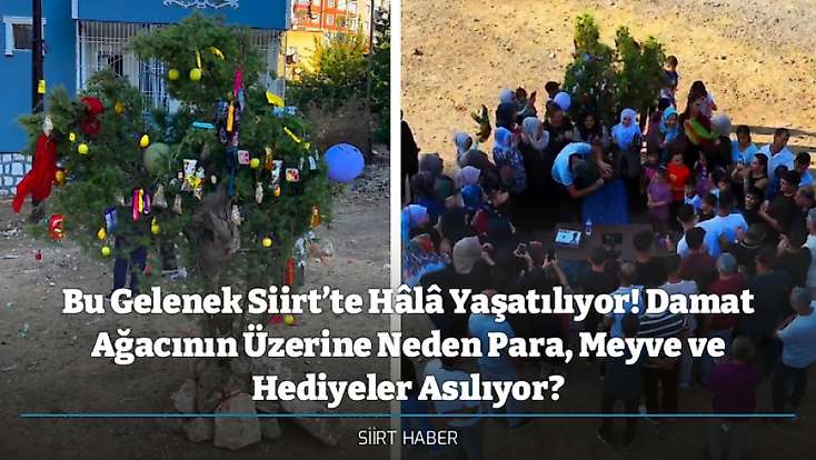 Bu Gelenek Siirt’te Hâlâ Yaşatılıyor! Damat Ağacının Üzerine Neden Para, Meyve ve Hediyeler Asılıyor?