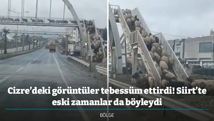 Cizre’deki görüntüler tebessüm ettirdi! Siirt’te eski zamanlar da böyleydi