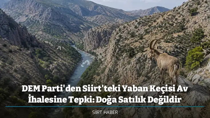 DEM Parti'den Siirt'teki Yaban Keçisi Av İhalesine Tepki: Doğa Satılık Değildir