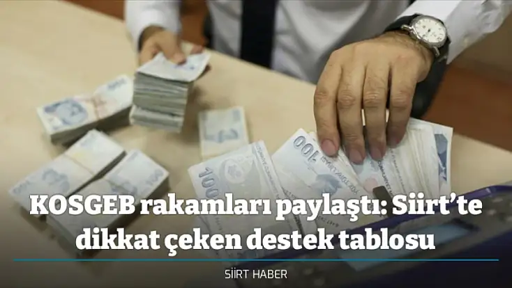 KOSGEB rakamları paylaştı: Siirt’te dikkat çeken destek tablosu