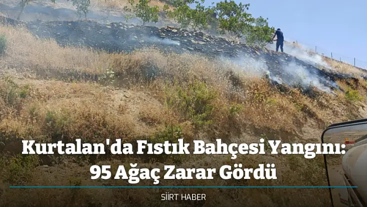 Kurtalan'da Fıstık Bahçesi Yangını: 95 Ağaç Zarar Gördü