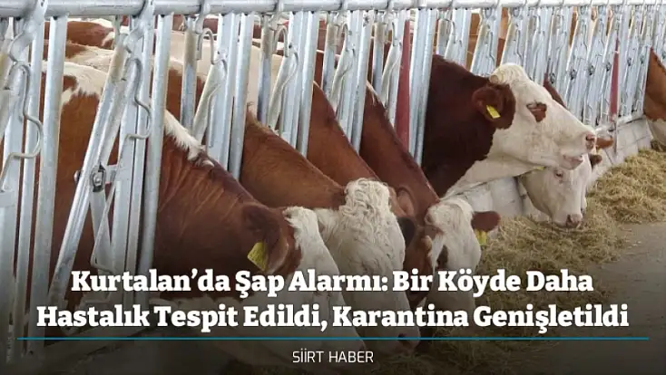 Kurtalan’da Şap Alarmı: Bir Köyde Daha Hastalık Tespit Edildi, Karantina Genişletildi
