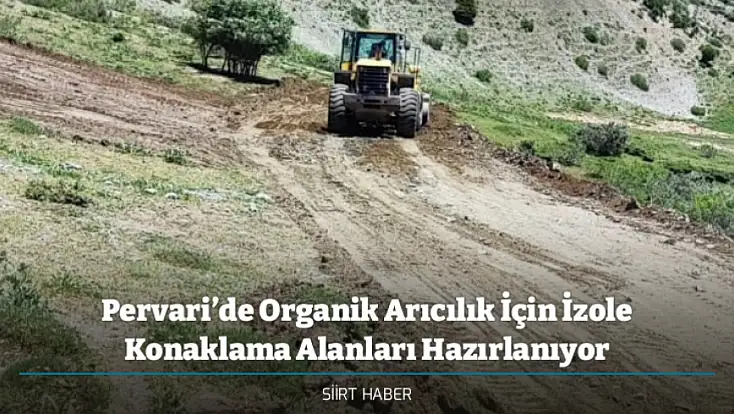 Pervari’de Organik Arıcılık İçin İzole Konaklama Alanları Hazırlanıyor