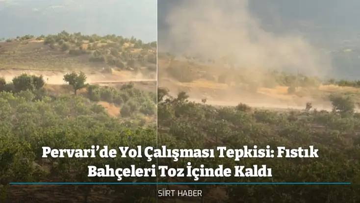 Pervari’de Yol Çalışması Tepkisi: Fıstık Bahçeleri Toz İçinde Kaldı
