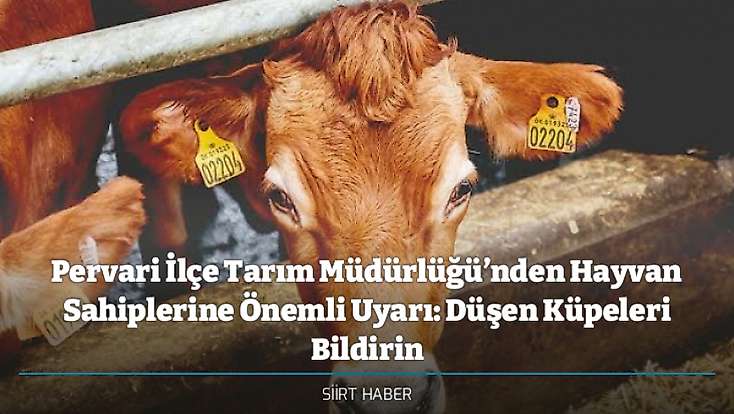Pervari İlçe Tarım Müdürlüğü’nden Hayvan Sahiplerine Önemli Uyarı: Düşen Küpeleri Bildirin