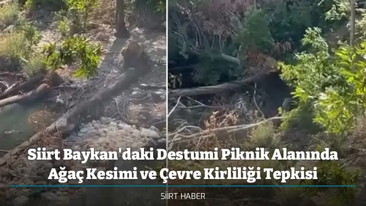 Siirt Baykan'daki Destumi Piknik Alanında Ağaç Kesimi ve Çevre Kirliliği Tepkisi