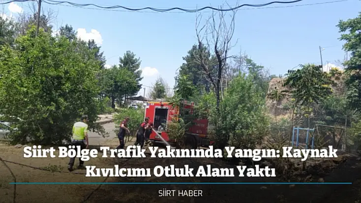 Siirt Bölge Trafik Yakınında Yangın: Kaynak Kıvılcımı Otluk Alanı Yaktı