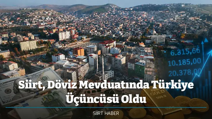 Siirt, Döviz Mevduatında Türkiye Üçüncüsü Oldu