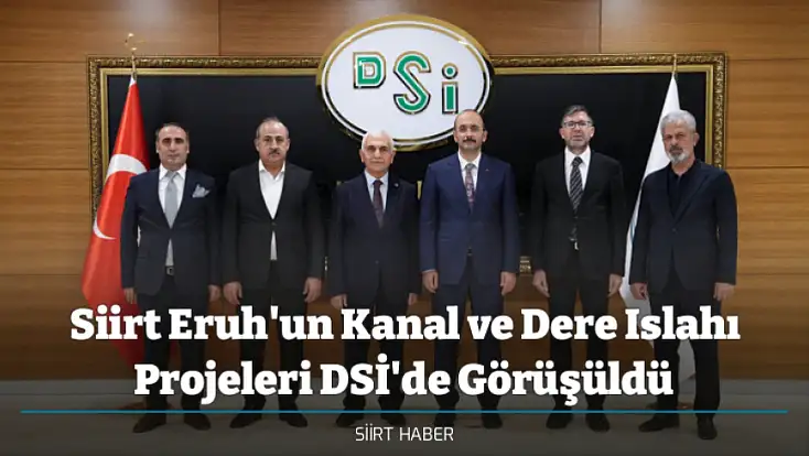 Siirt Eruh'un Kanal ve Dere Islahı Projeleri DSİ'de Görüşüldü