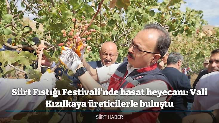 Siirt Fıstığı Festivali’nde hasat heyecanı: Vali Kızılkaya üreticilerle buluştu
