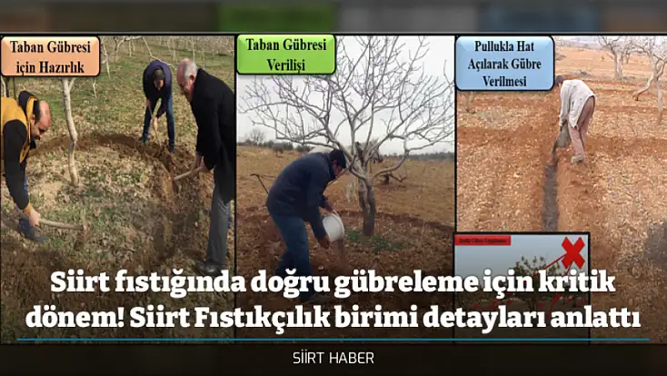 Siirt fıstığında doğru gübreleme için kritik dönem! Siirt Fıstıkçılık birimi detayları anlattı