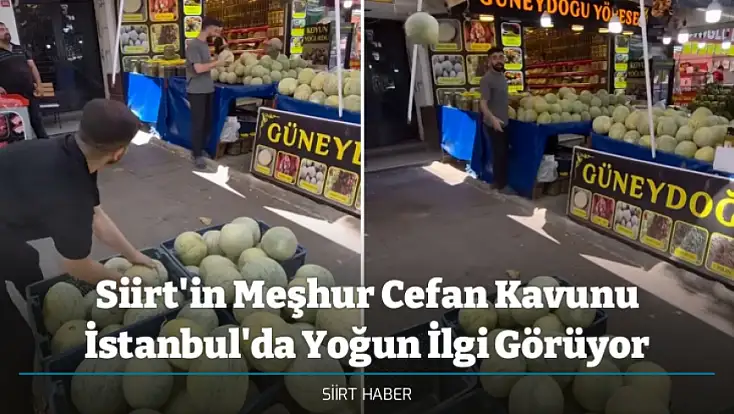 Siirt'in Meşhur Cefan Kavunu İstanbul'da Yoğun İlgi Görüyor