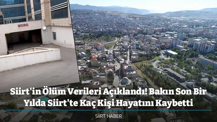 Siirt'in Ölüm Verileri Açıklandı! Bakın Son Bir Yılda Siirt'te Kaç Kişi Hayatını Kaybetti