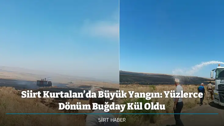 Siirt Kurtalan’da Büyük Yangın: Yüzlerce Dönüm Buğday Kül Oldu