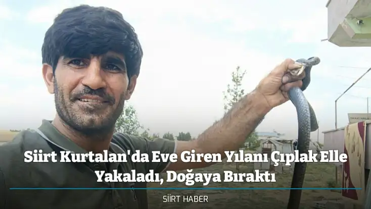 Siirt Kurtalan'da Eve Giren Yılanı Çıplak Elle Yakaladı, Doğaya Bıraktı
