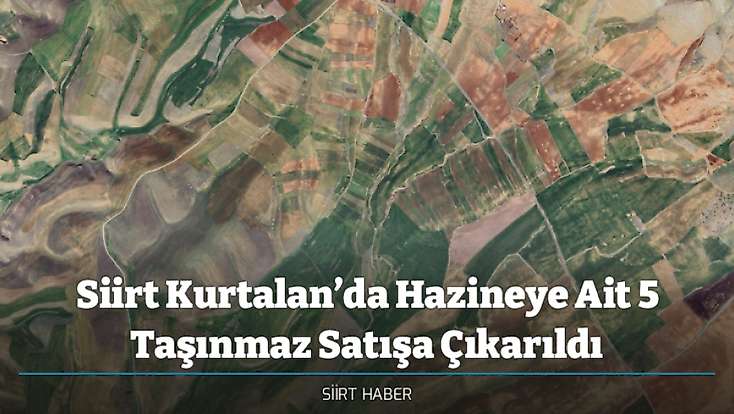 Siirt Kurtalan’da Hazineye Ait 5 Taşınmaz Satışa Çıkarıldı