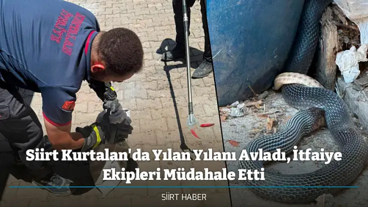 Siirt Kurtalan'da Yılan Yılanı Avladı, İtfaiye Ekipleri Müdahale Etti