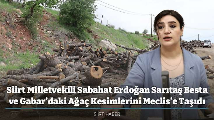 Siirt Milletvekili Sabahat Erdoğan Sarıtaş Besta ve Gabar’daki Ağaç Kesimlerini Meclis’e Taşıdı