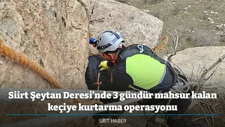 Siirt Şeytan Deresi’nde 3 gündür mahsur kalan keçiye kurtarma operasyonu