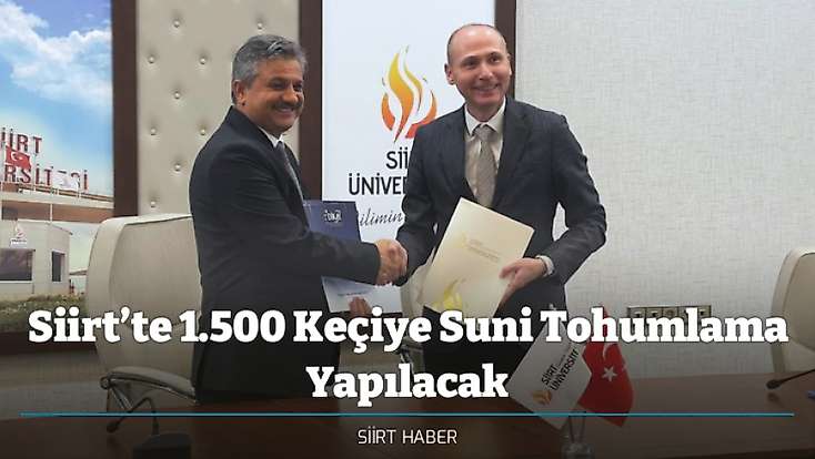 Siirt’te 1.500 Keçiye Suni Tohumlama Yapılacak