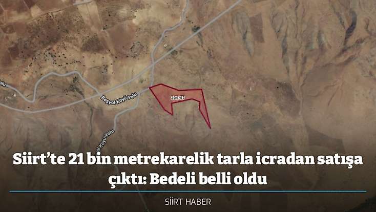 Siirt’te 21 bin metrekarelik tarla icradan satışa çıktı: Bedeli belli oldu