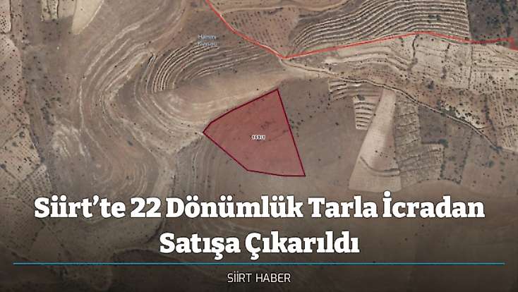 Siirt’te 22 Dönümlük Tarla İcradan Satışa Çıkarıldı