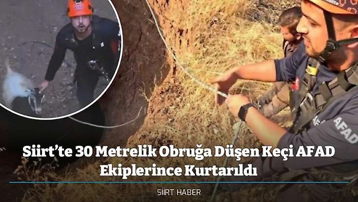Siirt’te 30 Metrelik Obruğa Düşen Keçi AFAD Ekiplerince Kurtarıldı