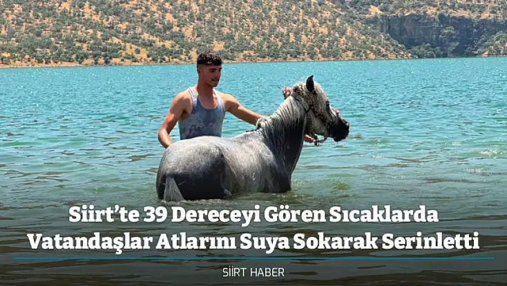 Siirt’te 39 Dereceyi Gören Sıcaklarda Vatandaşlar Atlarını Suya Sokarak Serinletti