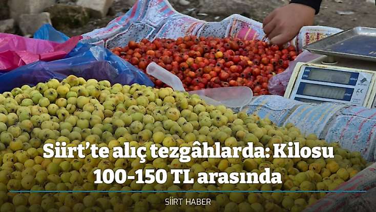 Siirt’te alıç tezgâhlarda: Kilosu 100-150 TL arasında