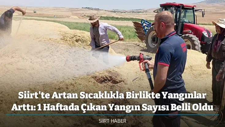 Siirt'te Artan Sıcaklıkla Birlikte Yangınlar Arttı: 1 Haftada Çıkan Yangın Sayısı Belli Oldu