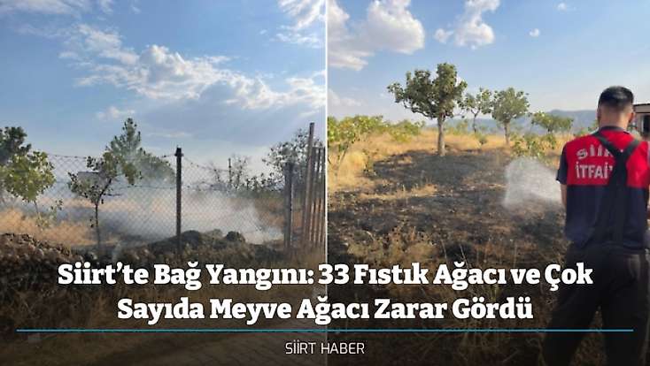 Siirt’te Bağ Yangını: 33 Fıstık Ağacı ve Çok Sayıda Meyve Ağacı Zarar Gördü