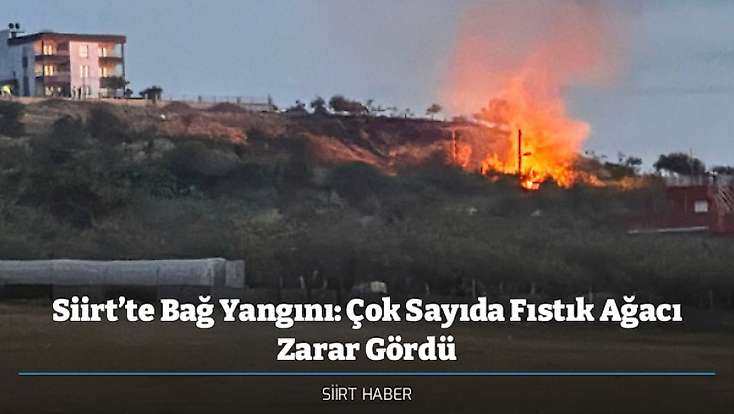 Siirt’te Bağ Yangını: Çok Sayıda Fıstık Ağacı Zarar Gördü