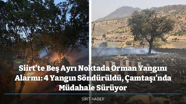 Siirt’te Beş Ayrı Noktada Orman Yangını Alarmı: 4 Yangın Söndürüldü, Çamtaşı’nda Müdahale Sürüyor