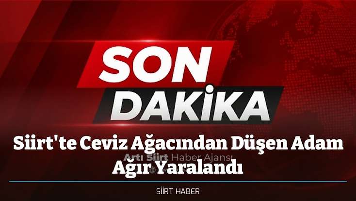 Siirt'te Ceviz Ağacından Düşen Adam Ağır Yaralandı