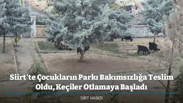 Siirt'te Çocukların Parkı Bakımsızlığa Teslim Oldu, Keçiler Otlamaya Başladı