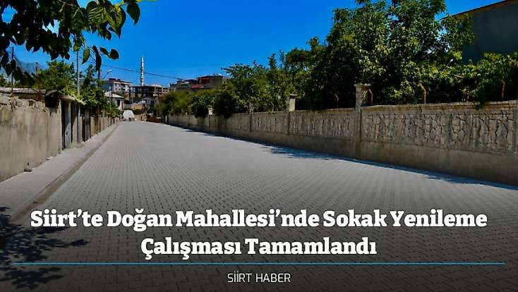 Siirt’te Doğan Mahallesi’nde Sokak Yenileme Çalışması Tamamlandı