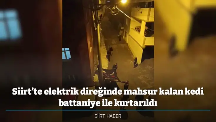 Siirt’te elektrik direğinde mahsur kalan kedi battaniye ile kurtarıldı