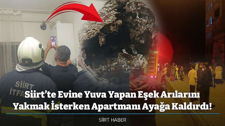 Siirt’te Evine Yuva Yapan Eşek Arılarını Yakmak İsterken Apartmanı Ayağa Kaldırdı!