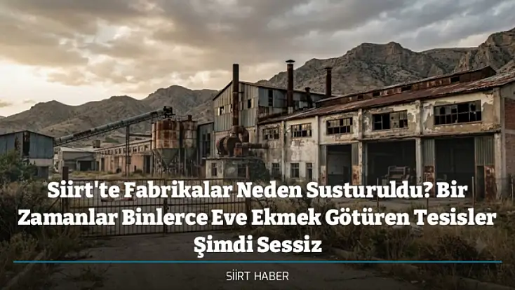 Siirt'te Fabrikalar Neden Susturuldu? Bir Zamanlar Binlerce Eve Ekmek Götüren Tesisler Şimdi Sessiz