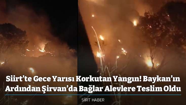Siirt’te Gece Yarısı Korkutan Yangın! Baykan’ın Ardından Şirvan’da Bağlar Alevlere Teslim Oldu