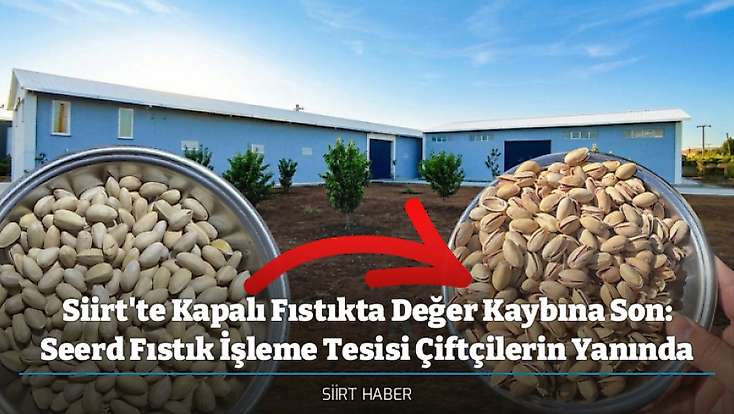 Siirt'te Kapalı Fıstıkta Değer Kaybına Son: Seerd Fıstık İşleme Tesisi Çiftçilerin Yanında