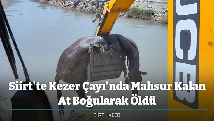 Siirt'te Kezer Çayı'nda Mahsur Kalan At Boğularak Öldü