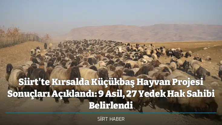 Siirt'te Kırsalda Küçükbaş Hayvan Projesi Sonuçları Açıklandı: 9 Asil, 27 Yedek Hak Sahibi Belirlendi