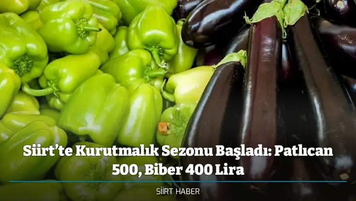 Siirt’te Kurutmalık Sezonu Başladı: Patlıcan 500, Biber 400 Lira